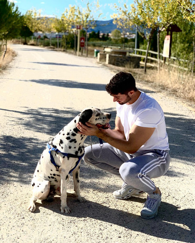 robertogarrdner 2420586936391415302 240321720 4 2020 10 15.jpg