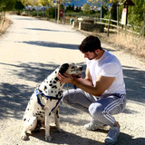 robertogarrdner 2420586936391415302 240321720 4 2020 10 15