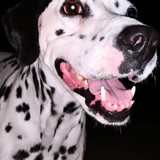 robertogarrdner 2633126027576776436 240321720 2021 08 04