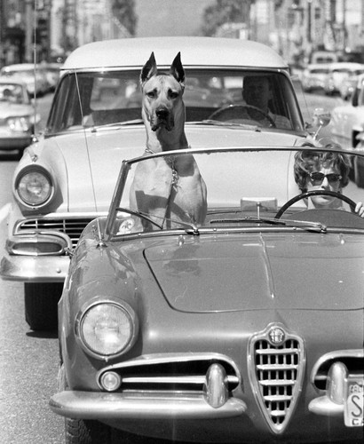 robertogarrdner 2644631385769991157 240321720 2021 08 20.jpg