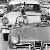 robertogarrdner 2644631385769991157 240321720 2021 08 20