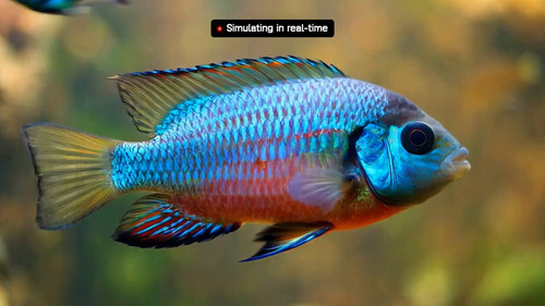 884h EBbXe FRNU .jpg