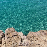 robertogarrdner 2859124297976222706 240321720 4 2022 06 12