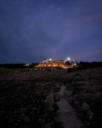 robertogarrdner 2859124297976222706 240321720 7 2022 06 12.jpg