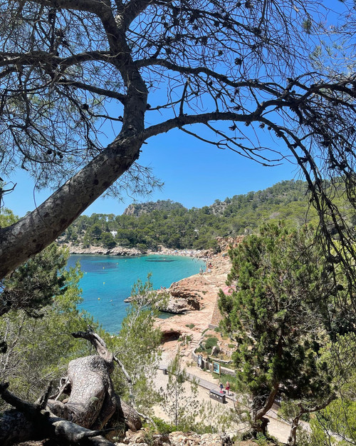 robertogarrdner 2859124297976222706 240321720 5 2022 06 12.jpg