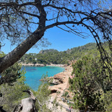 robertogarrdner 2859124297976222706 240321720 5 2022 06 12