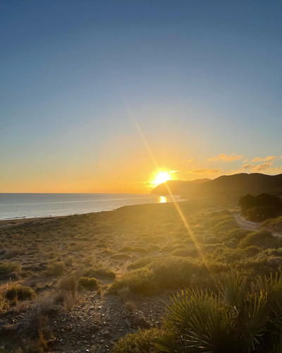 robertogarrdner 3031692876262135857 240321720 3 2023 02 05.jpg