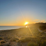 robertogarrdner 3031692876262135857 240321720 3 2023 02 05