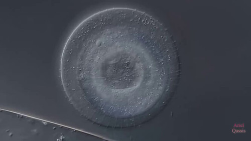 LuXX0ghHHGx 769Q.jpg