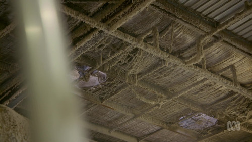 frame1.jpg