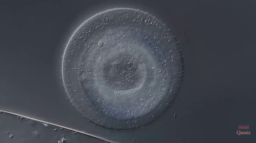 LuXX0ghHHGx 769Q.jpg