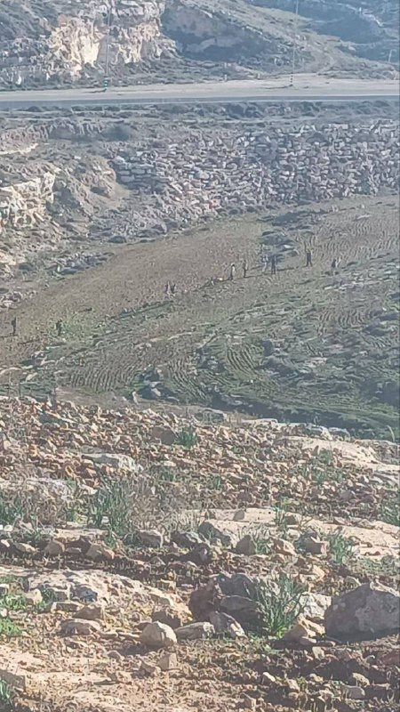 تحت حماية جيش الاحتلال، قام مستوطنون بالاعتداء على المزارعين في منطقة واد رحيله المجاورة لخربة الركيز بمسافر يطا جنوب الخليل، حيث أطلق جنود الاحتلال ا...