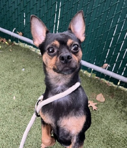 G8E f5wXcAMkl N?format=jpg.jpg