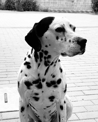 robertogarrdner 3175871355739784436 240321720 2023 08 23.jpg