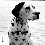 robertogarrdner 3175871355739784436 240321720 2023 08 23