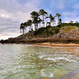 robertogarrdner 3426821265362868629 240321720 6 2024 08 03