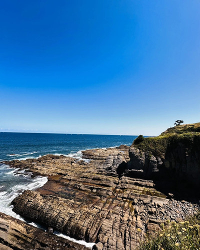 robertogarrdner 3427200782254404453 240321720 3 2024 08 04.jpg