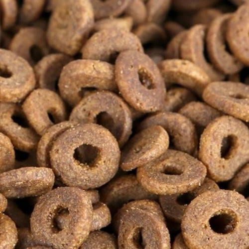 rug 1658368287750 5.jpeg.jpg