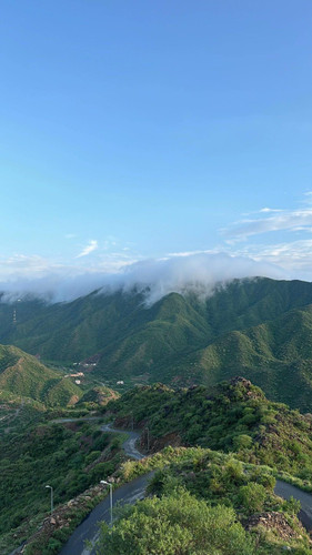 IMG 3590.jpg