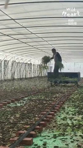uWEKP OGfyuPvQHO.jpg