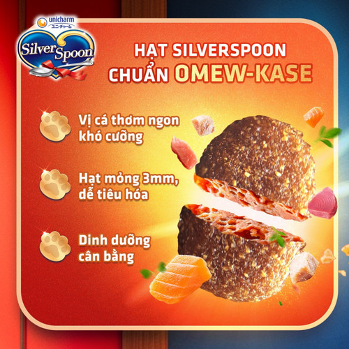 silver spoon hat meo 4.jpg