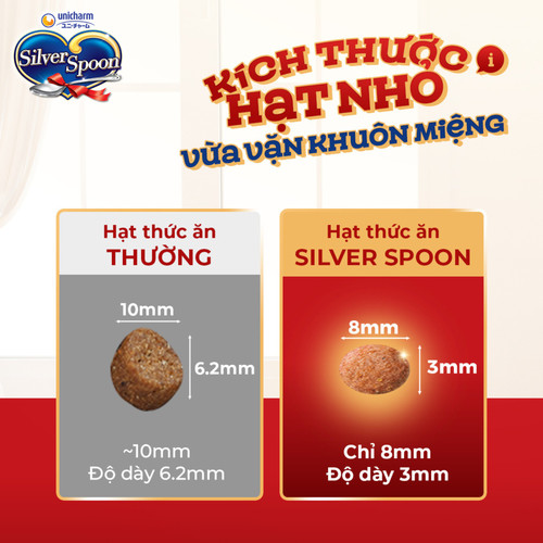 silver spoon hat meo 5.jpg