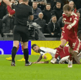 IMG 4076.gif