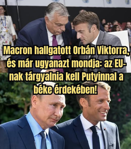 603908098 882707797832692 4605951356188873372 n.jpg?stp=cp6 dst jpg s590x590 tt6& nc cat=109&ccb=1 7.jpg