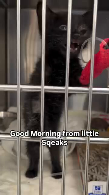 ScFnCXUCtwbykCvw.jpg