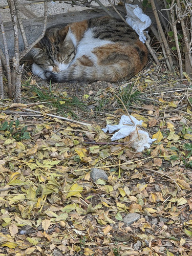 G6H r5JWsAAtMEr?format=jpg.jpg