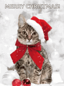 christmas hat santa hat.gif
