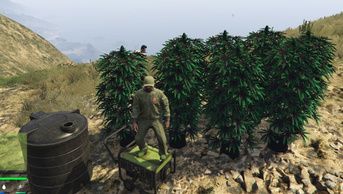 FiveM GTAProcess fZc9bvM9dy.jpg