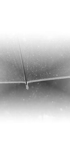 Image 1766325927066 33.jpg