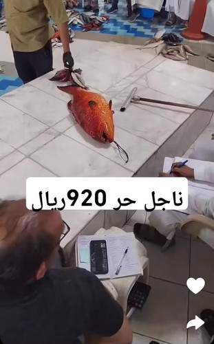 ECW1ZihePpqbTnLh.jpg