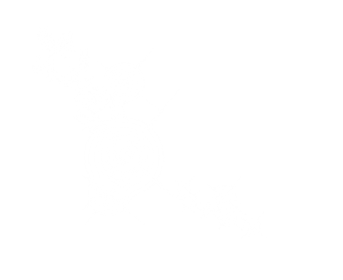 Sparkle (2).png