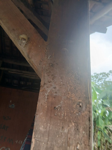 07a67137 773f 4cb7 a136 69fb8caa21bc.jpg