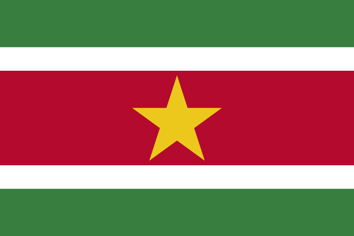 Flag of Suriname.svg.png