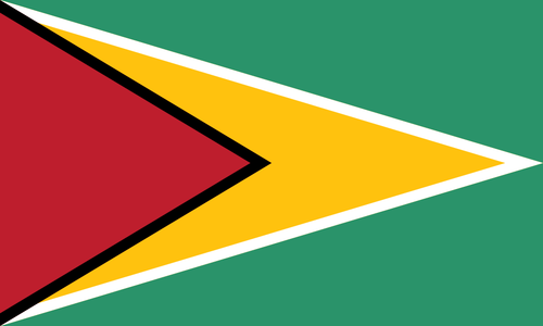 Flag of Guyana.svg.png