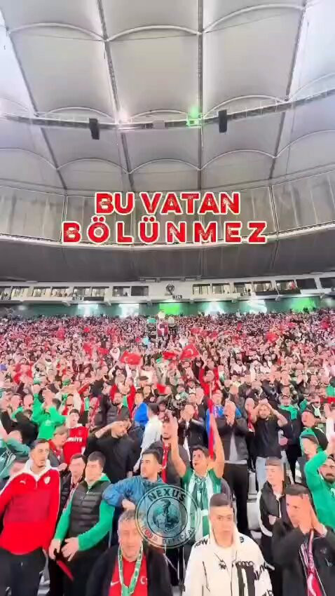 GUTXyFXlJST1Jr i.jpg
