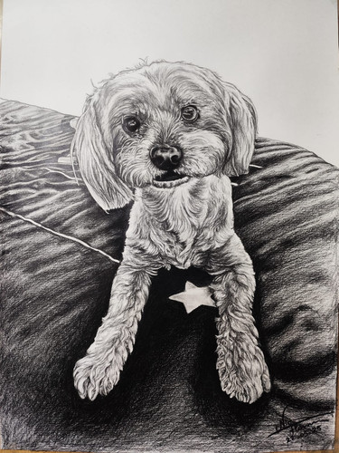 WhatsApp Image 2025 12 21 at 09.56.49.jpg