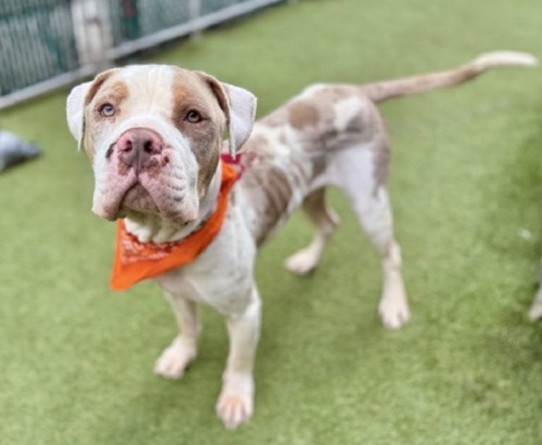 G8UVZaeWIAQG vv?format=jpg.jpg