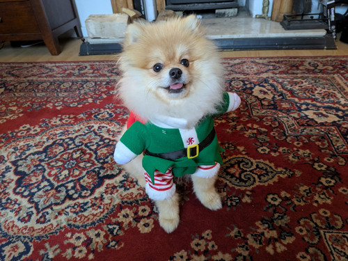 PXL 20251221 134700090.jpg