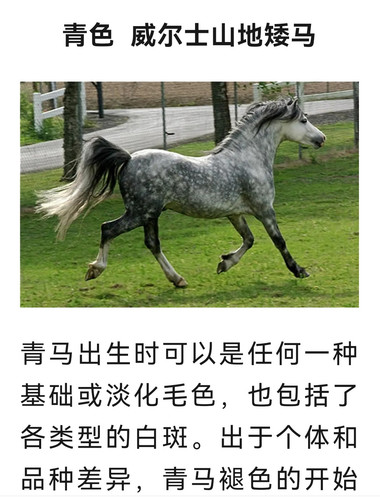 Screenshot 20251221 221837.jpg