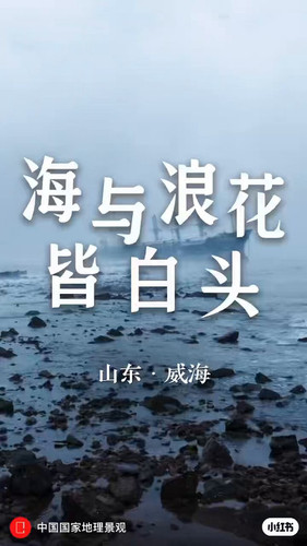 NgUukGzJh1QHP5g1.jpg