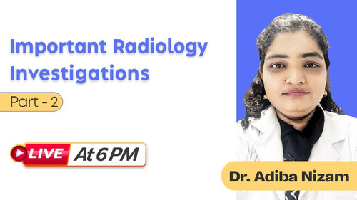 WhatsApp Image 2025 12 22 at 10.00.07.jpg