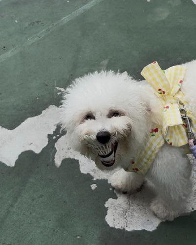 Screenshot 20251222 134637 com.xingin.xhs edit 13963259597868.jpg