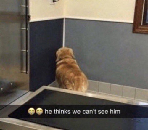 G8sh8XhXkAAqz7A.jpg