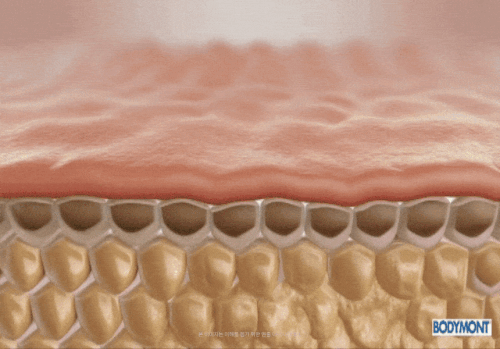 phpyhv99R.gif