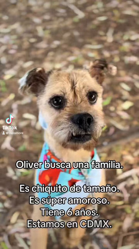 dblNby9sLYJL8qBd.jpg