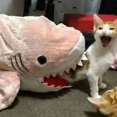 GlWUEiKWYAAgyAA.jpg